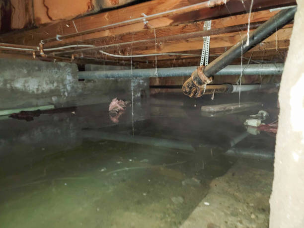  Aberdeen, WA Water damage restoration Pros