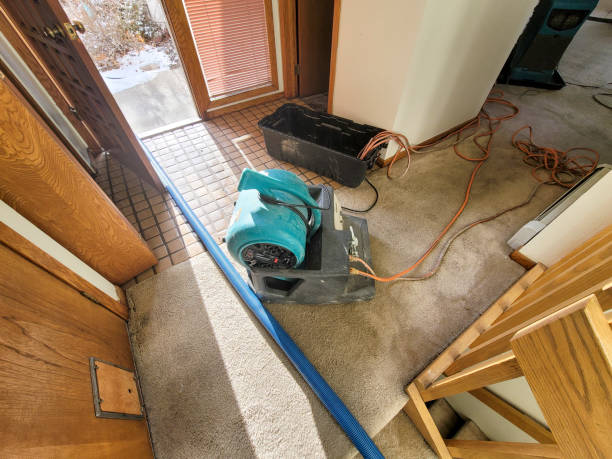 Best Water damage contractors near me  in Aberdeen, WA