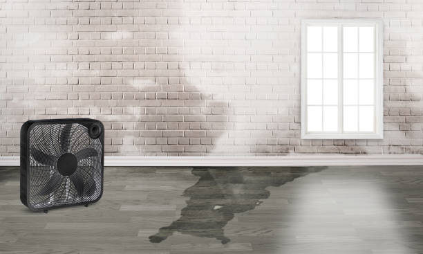 Best Water damage restoration near me  in Aberdeen, WA