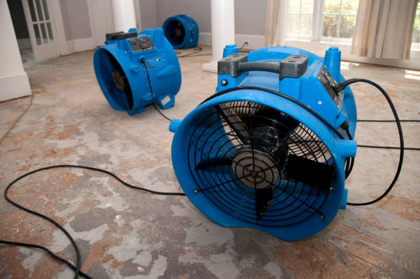 Best Flood damage cleanup  in Aberdeen, WA