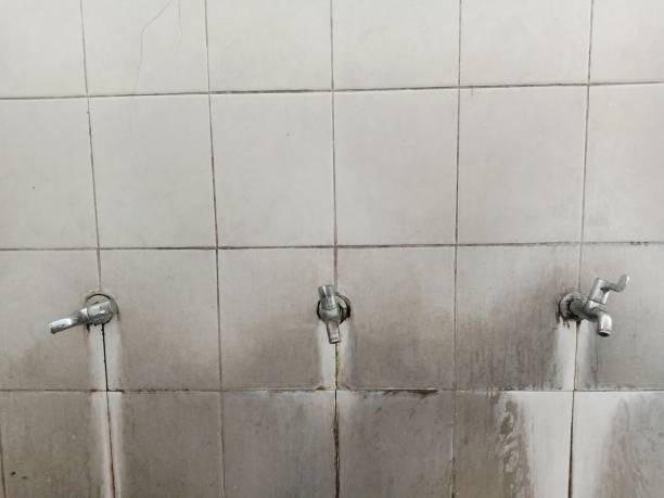Best Carpet water damage restoration  in Aberdeen, WA