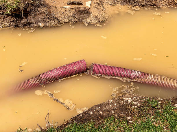 Sewage cleanup and water damage restoration in WA