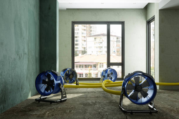 Best Professional water damage repair  in Aberdeen, WA